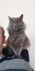 What's your DCat up to today? (Thread 7!)