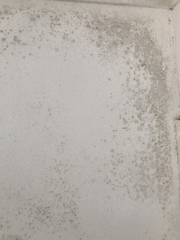 To get really down about the state of my house sometimes?