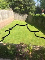 Where to put flowerbeds?