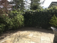 What to put in flower bed