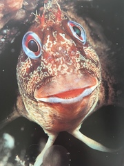 Any Witches Here? Part 8.