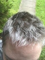 I did it. I went grey.