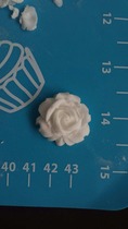 Help me choose a rose