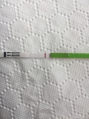 Opk gurus what do you think?