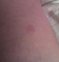 Any ideas what this is?