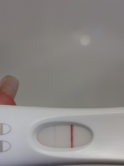 TWW for late April bfp