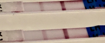 Did I ovulate? (The one with the oak background is on a normal day and the one with the two tests is on my suspected OV day!)