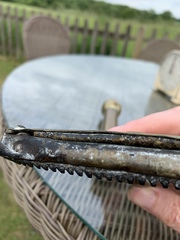 Does anyone know what this is?