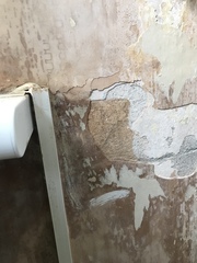 To get really down about the state of my house sometimes?