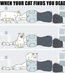 Please share your funny memes or pictures.