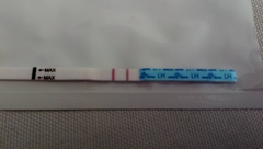 TTC after pregnancy loss - Thread 30 - huddle up and bring on the BFP's
