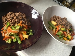 Blood Sugar Diet and Fast800 thread 14