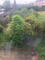 HELP! No idea where to start with this jungle.