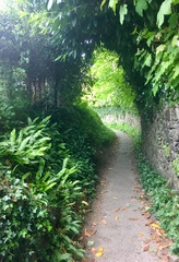 Any Witches Here? Part 8.