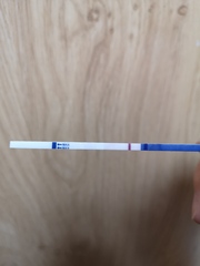 These are negative, right?