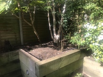 What can I plant on these spaces