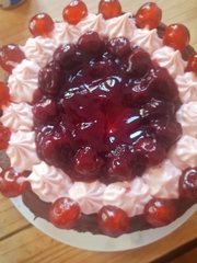 Photos of our vegan baking/cooking