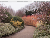 Where to put flowerbeds?