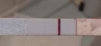 TTC after coming off Cerazette (Thread No2)