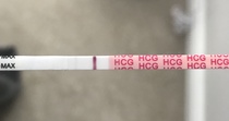 Line eyes - 10dpo