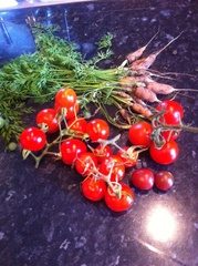What's wrong with my tomato plant?