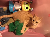 Help me name this kitty!