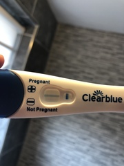 Pregnancy test