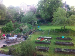 Westminstenders: Local Elections Madness