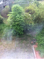 HELP! No idea where to start with this jungle.