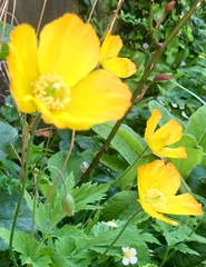 Any Witches Here? Part 8.