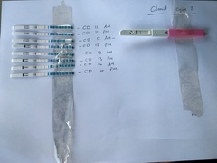 Clomid thread 2019
