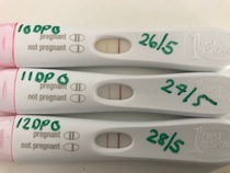 TTC after coming off Cerazette (Thread No2)