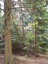 Where is the most beautiful nature place you’ve been in the uk?