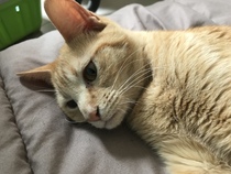 Help me name this kitty!