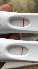 Are these evap lines?