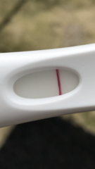 Are these evap lines?