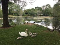 Swagger Inn 161 - Springtime is here so wenches get in the beds to help things to grow