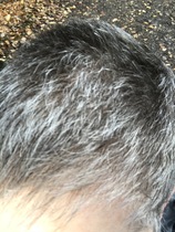 I did it. I went grey.
