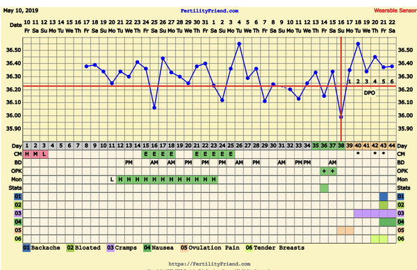 First Pregnancy Missed Miscarriage (Part III)
