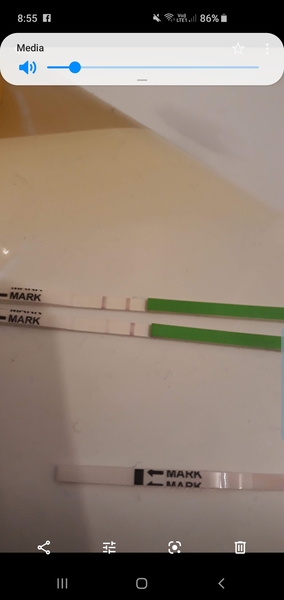 Is this a negative ovulation test?