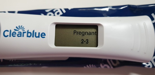 The Graduates of TTC after pregnancy loss thread