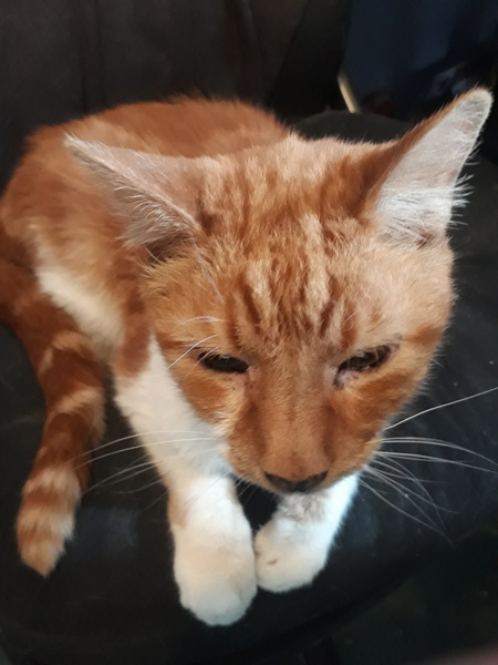 What's your DCat up to today? (Thread 7!)