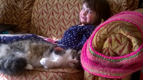 AIBU to think my cat is the cutest !