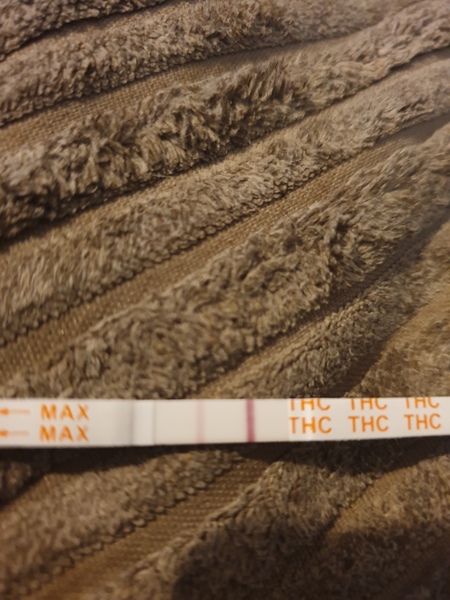 Pregnant on the coil