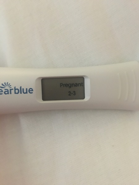 Pregnant 4 weeks hcg 241