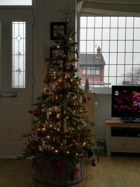 I've Finally Given In And Gone Modern. Show Me Your Tinsel-Less Trees?