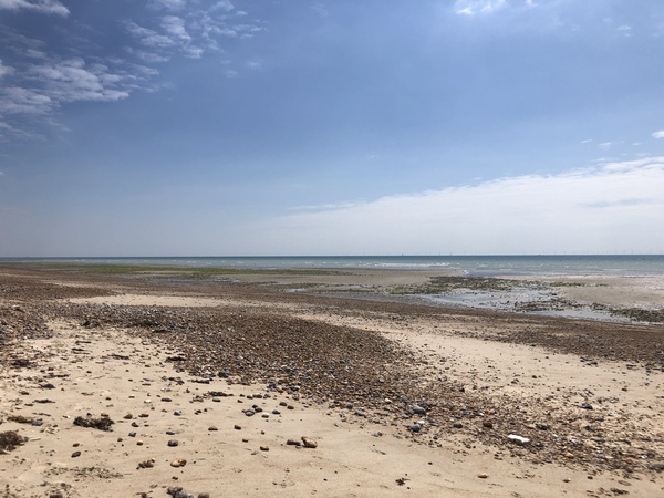 to want to live near a beach