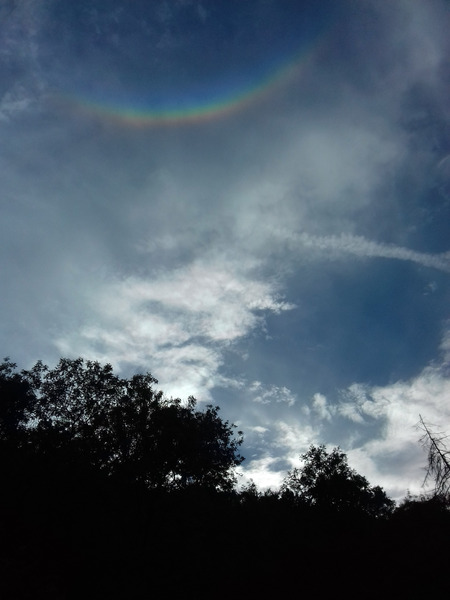 Any Witches Here? Part 8.