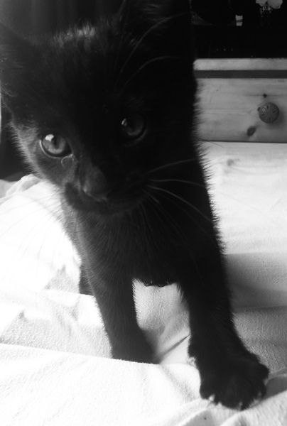 We got a new baby!