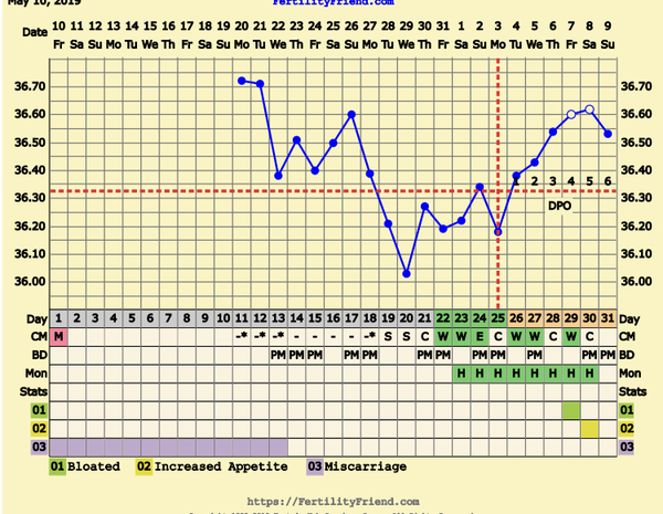 First Pregnancy Missed Miscarriage (Part III)